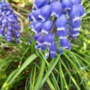 ヒメ日記 2025/03/27 10:00 投稿 まき 尼妻（あまづま）