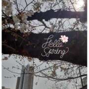 ヒメ日記 2025/03/28 03:28 投稿 まき 尼妻（あまづま）