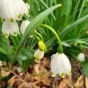 ヒメ日記 2025/03/28 09:21 投稿 まき 尼妻（あまづま）