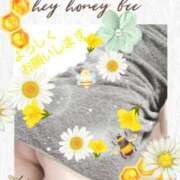 ヒメ日記 2025/04/12 10:45 投稿 まき 尼妻（あまづま）