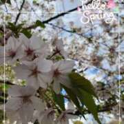 ヒメ日記 2025/04/16 06:08 投稿 まき 尼妻（あまづま）