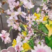 ヒメ日記 2025/04/18 18:04 投稿 まき 尼妻（あまづま）