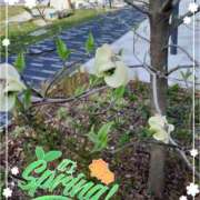 ヒメ日記 2025/04/19 11:23 投稿 まき 尼妻（あまづま）