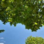 ヒメ日記 2025/04/29 14:14 投稿 まき 尼妻（あまづま）