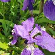 ヒメ日記 2025/05/01 09:33 投稿 まき 尼妻（あまづま）