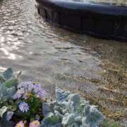 ヒメ日記 2025/05/04 10:31 投稿 まき 尼妻（あまづま）