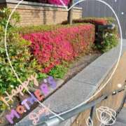 ヒメ日記 2025/05/09 13:41 投稿 まき 尼妻（あまづま）