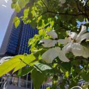 ヒメ日記 2025/05/17 10:54 投稿 まき 尼妻（あまづま）