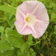 ヒメ日記 2025/05/21 20:22 投稿 まき 尼妻（あまづま）