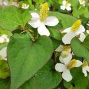 ヒメ日記 2025/05/22 09:51 投稿 まき 尼妻（あまづま）