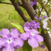 ヒメ日記 2025/05/23 09:38 投稿 まき 尼妻（あまづま）