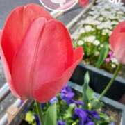 ヒメ日記 2025/06/09 19:00 投稿 まき 尼妻（あまづま）