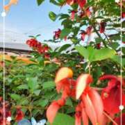 ヒメ日記 2025/06/14 13:16 投稿 まき 尼妻（あまづま）