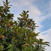 ヒメ日記 2025/06/22 14:53 投稿 まき 尼妻（あまづま）