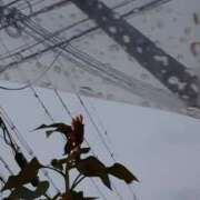 ヒメ日記 2025/06/23 20:45 投稿 まき 尼妻（あまづま）