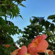 ヒメ日記 2025/06/27 19:54 投稿 まき 尼妻（あまづま）