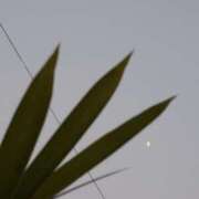 ヒメ日記 2025/07/04 18:19 投稿 まき 尼妻（あまづま）