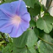 ヒメ日記 2025/07/11 10:24 投稿 まき 尼妻（あまづま）