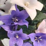 ヒメ日記 2025/07/17 07:50 投稿 まき 尼妻（あまづま）