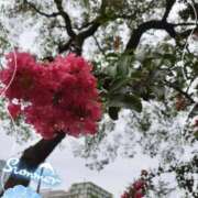 ヒメ日記 2025/07/18 10:06 投稿 まき 尼妻（あまづま）