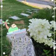 ヒメ日記 2025/08/02 21:31 投稿 まき 尼妻（あまづま）