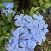 ヒメ日記 2025/08/05 09:48 投稿 まき 尼妻（あまづま）