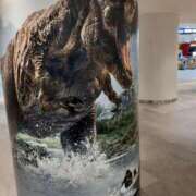 ヒメ日記 2025/08/05 11:04 投稿 まき 尼妻（あまづま）