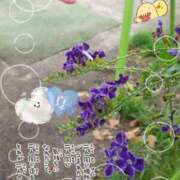 ヒメ日記 2025/08/13 11:17 投稿 まき 尼妻（あまづま）