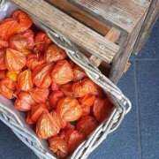 ヒメ日記 2025/08/14 10:46 投稿 まき 尼妻（あまづま）