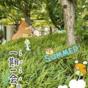 ヒメ日記 2025/08/15 10:38 投稿 まき 尼妻（あまづま）