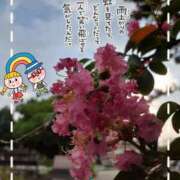 ヒメ日記 2025/08/18 05:35 投稿 まき 尼妻（あまづま）