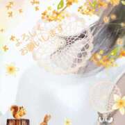 ヒメ日記 2025/09/15 01:36 投稿 まき 尼妻（あまづま）