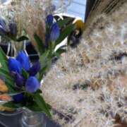 ヒメ日記 2025/09/15 20:22 投稿 まき 尼妻（あまづま）