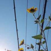 ヒメ日記 2025/09/16 10:16 投稿 まき 尼妻（あまづま）