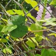 ヒメ日記 2025/09/18 09:23 投稿 まき 尼妻（あまづま）