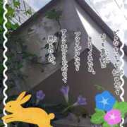 ヒメ日記 2025/09/19 09:41 投稿 まき 尼妻（あまづま）