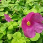 ヒメ日記 2025/09/30 10:41 投稿 まき 尼妻（あまづま）