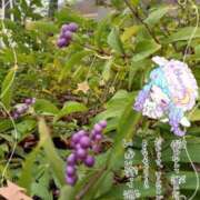 ヒメ日記 2025/10/02 23:34 投稿 まき 尼妻（あまづま）