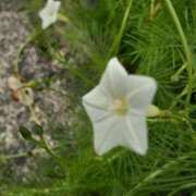 ヒメ日記 2025/10/03 09:19 投稿 まき 尼妻（あまづま）