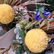 ヒメ日記 2025/10/06 17:48 投稿 まき 尼妻（あまづま）