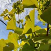 ヒメ日記 2025/10/07 10:09 投稿 まき 尼妻（あまづま）