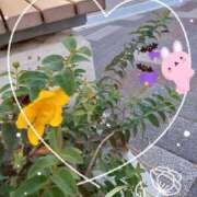 ヒメ日記 2025/10/10 10:18 投稿 まき 尼妻（あまづま）