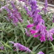 ヒメ日記 2025/10/10 10:57 投稿 まき 尼妻（あまづま）