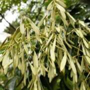 ヒメ日記 2025/10/16 10:30 投稿 まき 尼妻（あまづま）