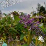 ヒメ日記 2025/10/17 10:13 投稿 まき 尼妻（あまづま）