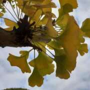 ヒメ日記 2025/10/24 09:55 投稿 まき 尼妻（あまづま）