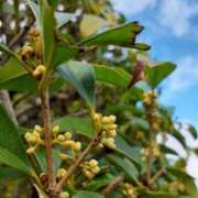 ヒメ日記 2025/10/28 09:29 投稿 まき 尼妻（あまづま）