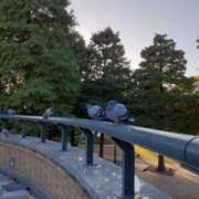 ヒメ日記 2025/10/29 23:55 投稿 まき 尼妻（あまづま）