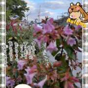 ヒメ日記 2025/11/07 10:14 投稿 まき 尼妻（あまづま）