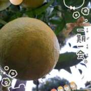 ヒメ日記 2025/11/07 23:58 投稿 まき 尼妻（あまづま）